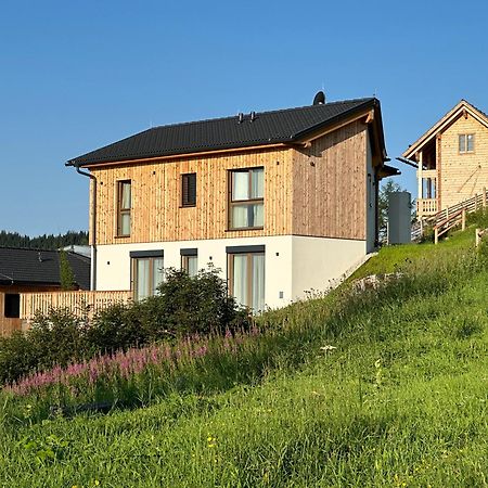 Berglisl - Direkt An Der Schipiste! Neue Ferienwohnung Mit Sauna Klippitztorl Exterior foto